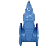 Valve