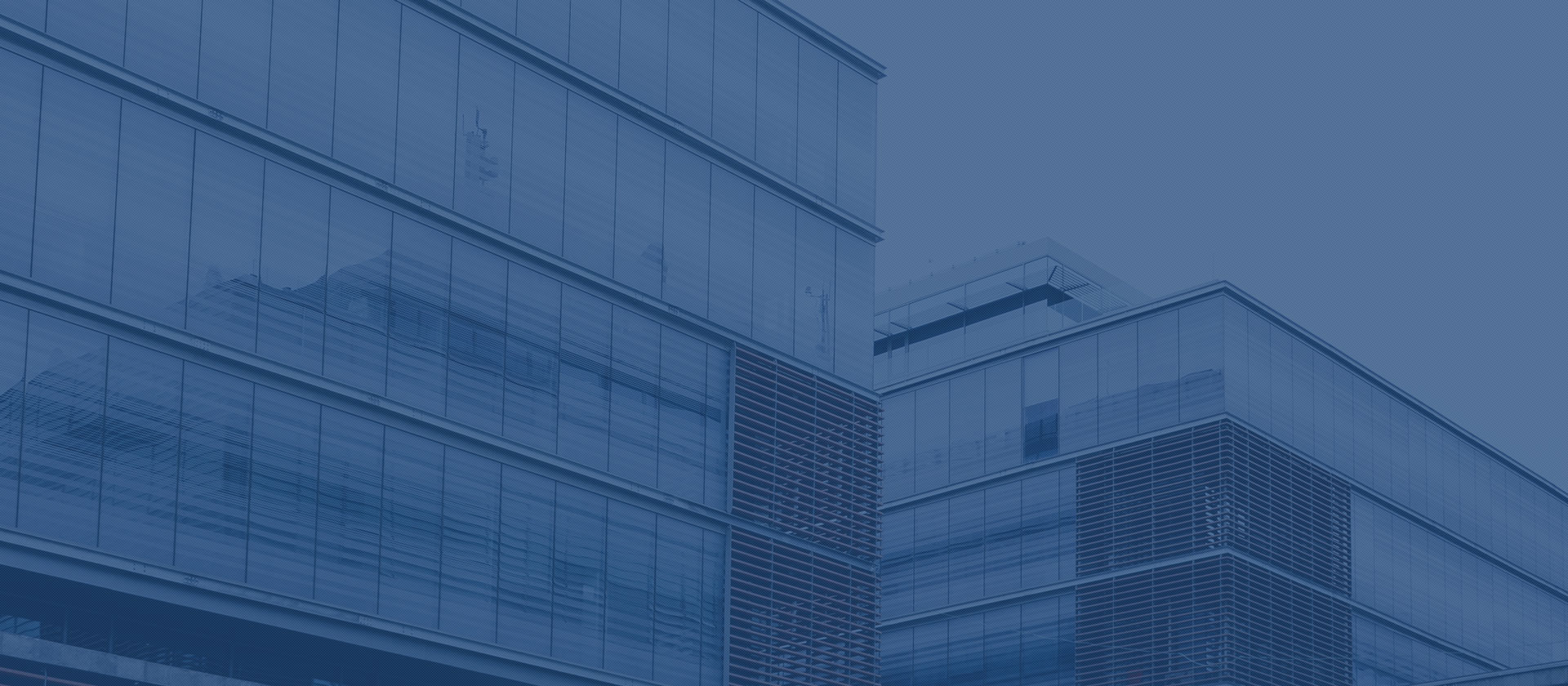 Company Profile